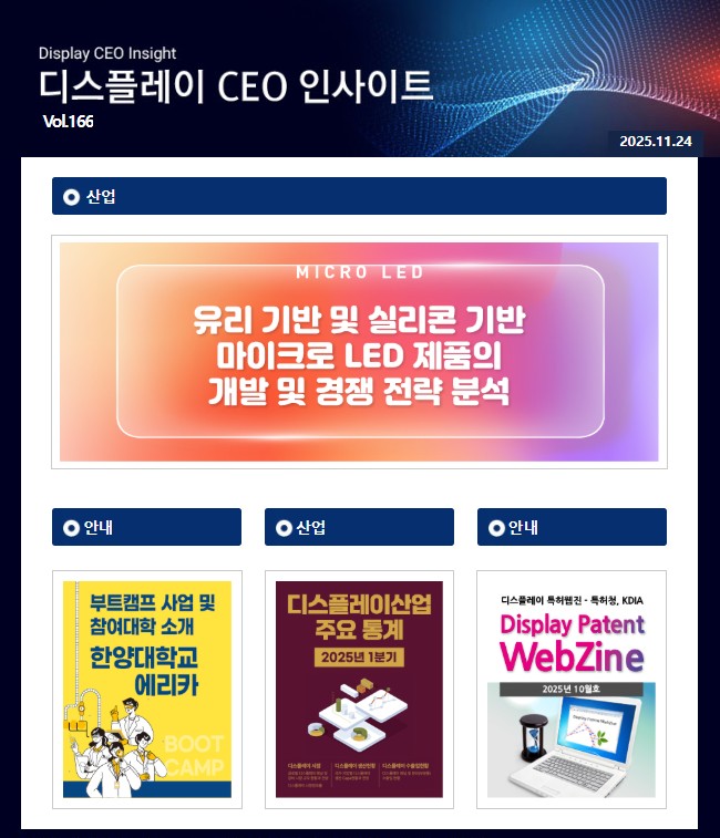 디스플레이 CEO 인사이트 (Vol.166)